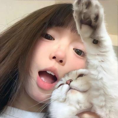动画剧集